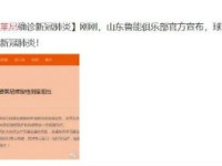 鲁能费莱尼确诊新冠肺炎 费莱尼确诊经过详情公开