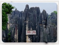 云南石林风景名胜区入选中国爱情主题景区联盟