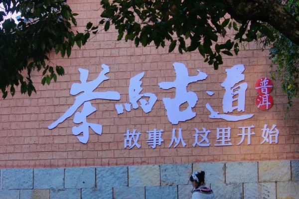 因茶而生，为马而生丨听山间铃响马帮来，看滇藏茶马古道景！