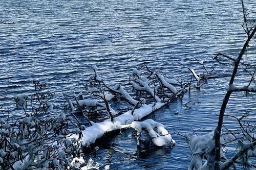 云南普达措：雪霁初晴 银装素裹分外美丽