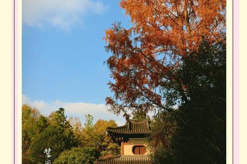 古寺幢幢有景，深秋庭院静雅