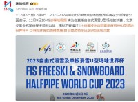 2023女子自由式滑雪U型场地决赛直播时间观看入口 谷爱凌出场比赛时间 