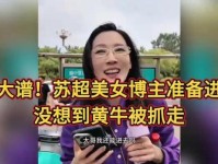 部分 苏超 比赛遭遇 黄牛