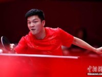 国乒2019匈牙利公开赛参赛名单 首战巡回赛时间和地点