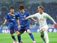 申花米内罗和谢鹏飞需要伤停很久 那么夏窗申花只能换外援中锋了 国安 张玉宁