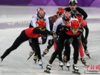 2019短道速滑世锦赛中国队连续失金 战斗才刚开始
