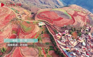云南红土地冬景 色彩分明宛若调色板