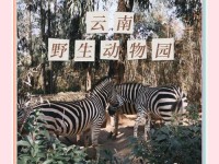 前方高萌预警！云南野生动物园新生动物见面啦