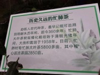 普洱：清心、清肺的避霾之旅