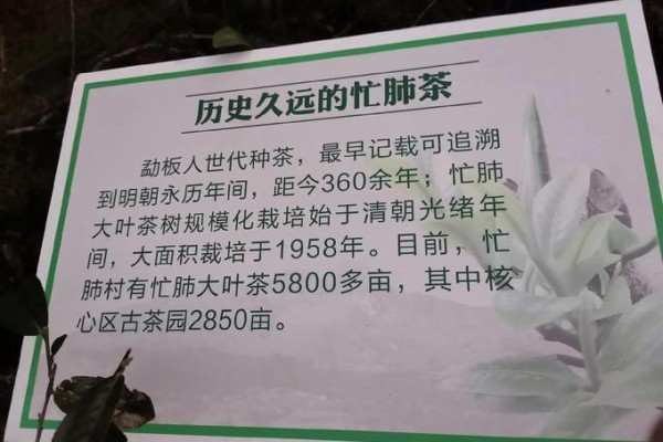 普洱：清心、清肺的避霾之旅