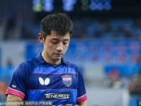 张继科无缘2018世界杯团体赛 445天夺大满贯成历史
