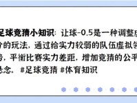 两球是什么意思