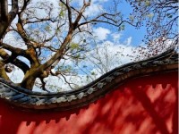 大理鹤庆：芳菲四月，长日欣喜
