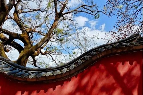 大理鹤庆：芳菲四月，长日欣喜