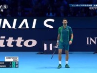 ATP年终总决赛-德约科维奇第七次夺冠 独占历史第一