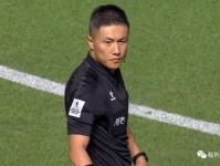 中超补赛裁判 沈寅豪执法国安vs西海岸 金京元执法河南vs海港