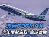 【8点见】埃航坠毁客机黑匣子已找到 多国停运波音737MAX8型客机