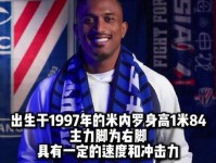 申花官方 米内罗近端肌腱断裂伤缺四个月 谢鹏飞伤缺三个月 增生
