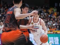 广厦被反超 山东又要出手了 剑指上海超巨 鲁能