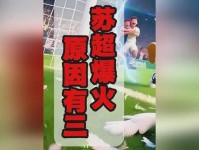 苏超 凭啥火出圈 我们跟最了解它的人聊了聊 足球