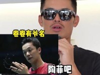 我见过许多天才 但他们都叫我天才陶菲克 林丹 盖德