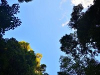 普洱市景东县哀牢山杜鹃湖