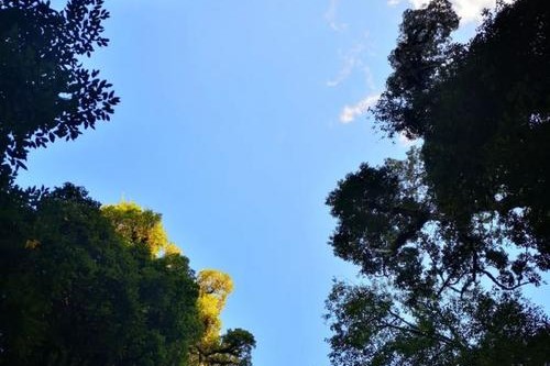 普洱市景东县哀牢山杜鹃湖