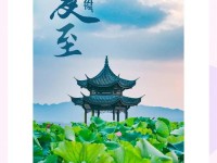 观奇景|普洱人的夏至