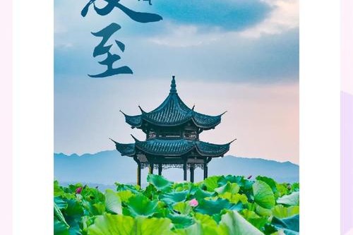 观奇景｜普洱人的夏至