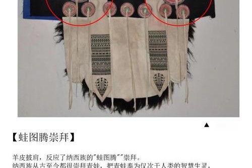 披星戴月纳西衣