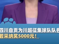 若采纳奖5000元 四川自贡为 川超 征集球队队名
