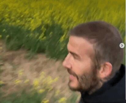 贝克汉姆没秃分享慢跑视频 小贝秃头了实际没那么惨