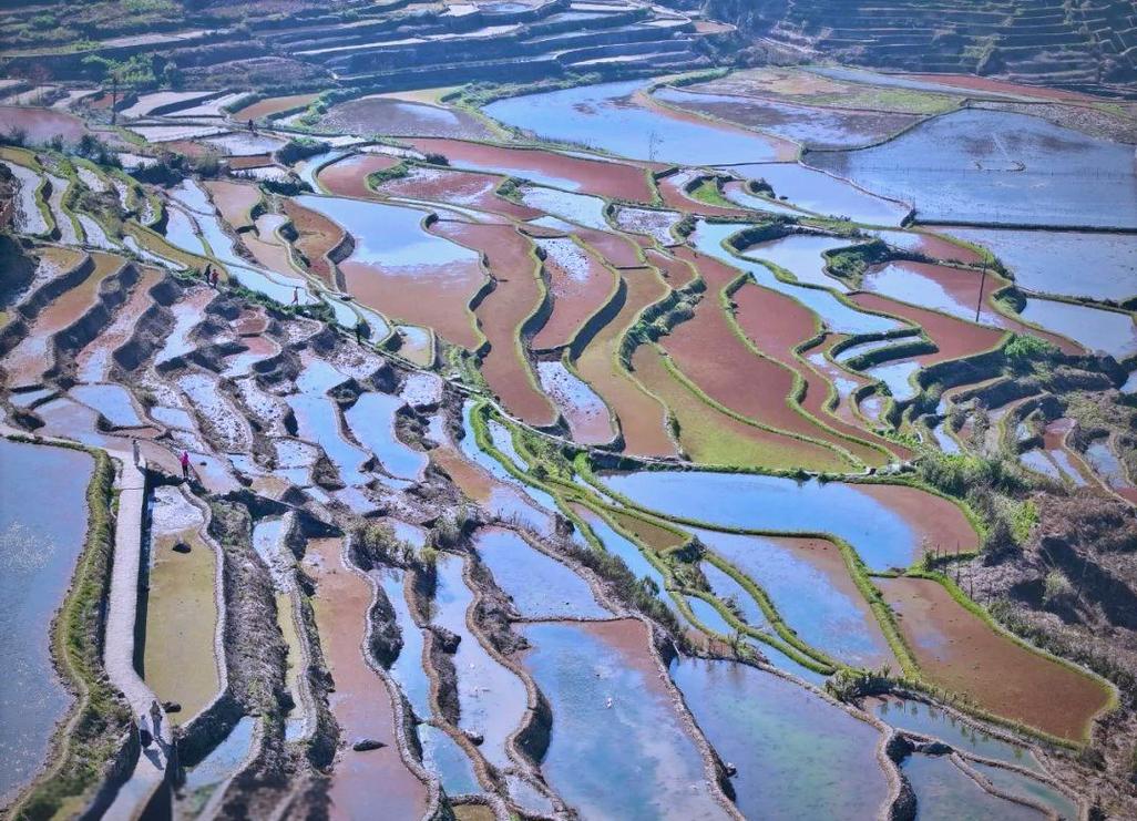 世界文化遗产保护的“红河模式”——岁月留痕 梯田“新生”