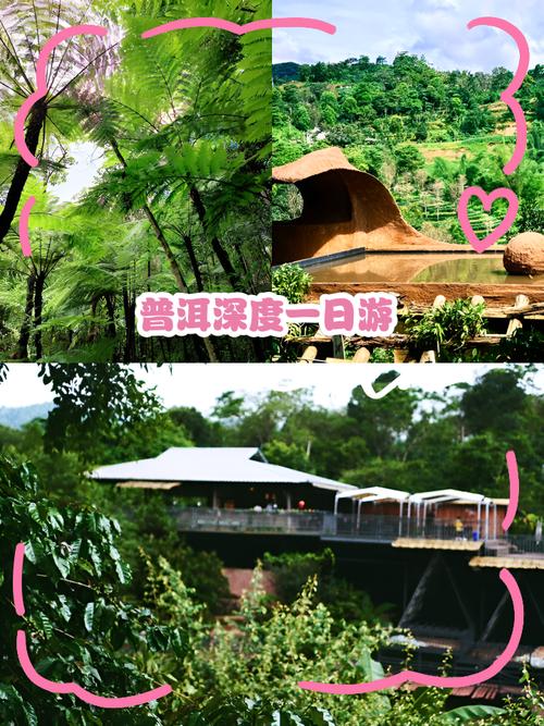 5天深度游普洱