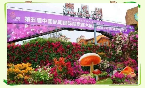 2016宜良花街节暨第三届中国昆明国际观赏苗木展览会