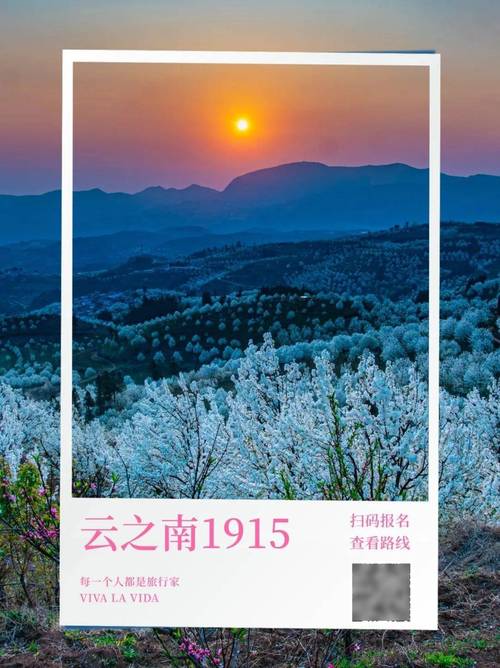 与其等风来 不如追风去——随这份梨花图鉴“香”约云南