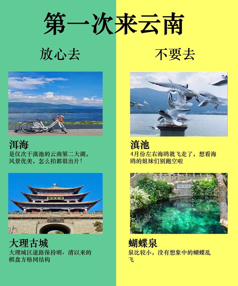 @来云南旅游的各位游客，你关心的问题都在这里→