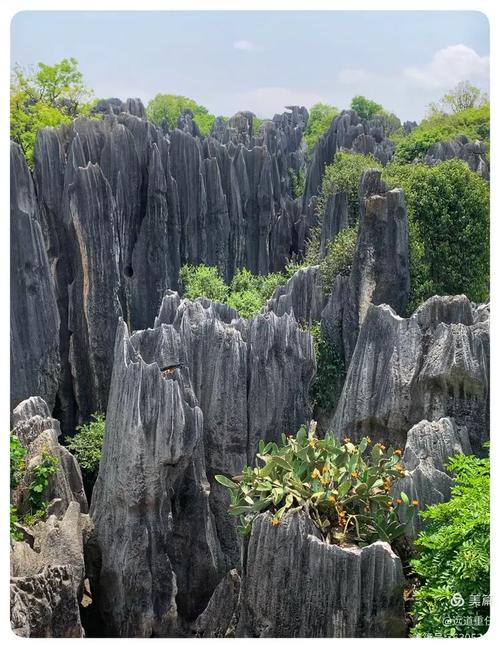 中国南方喀斯特—石林