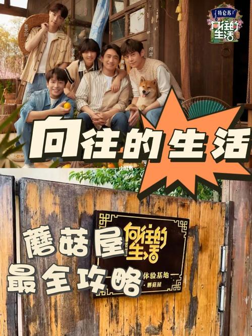《向往的生活》开播！不一样的热带蘑菇屋