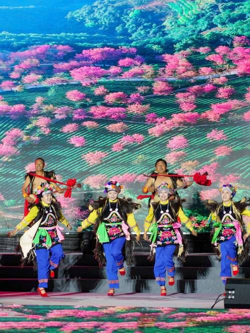 来大理，跳舞吧！