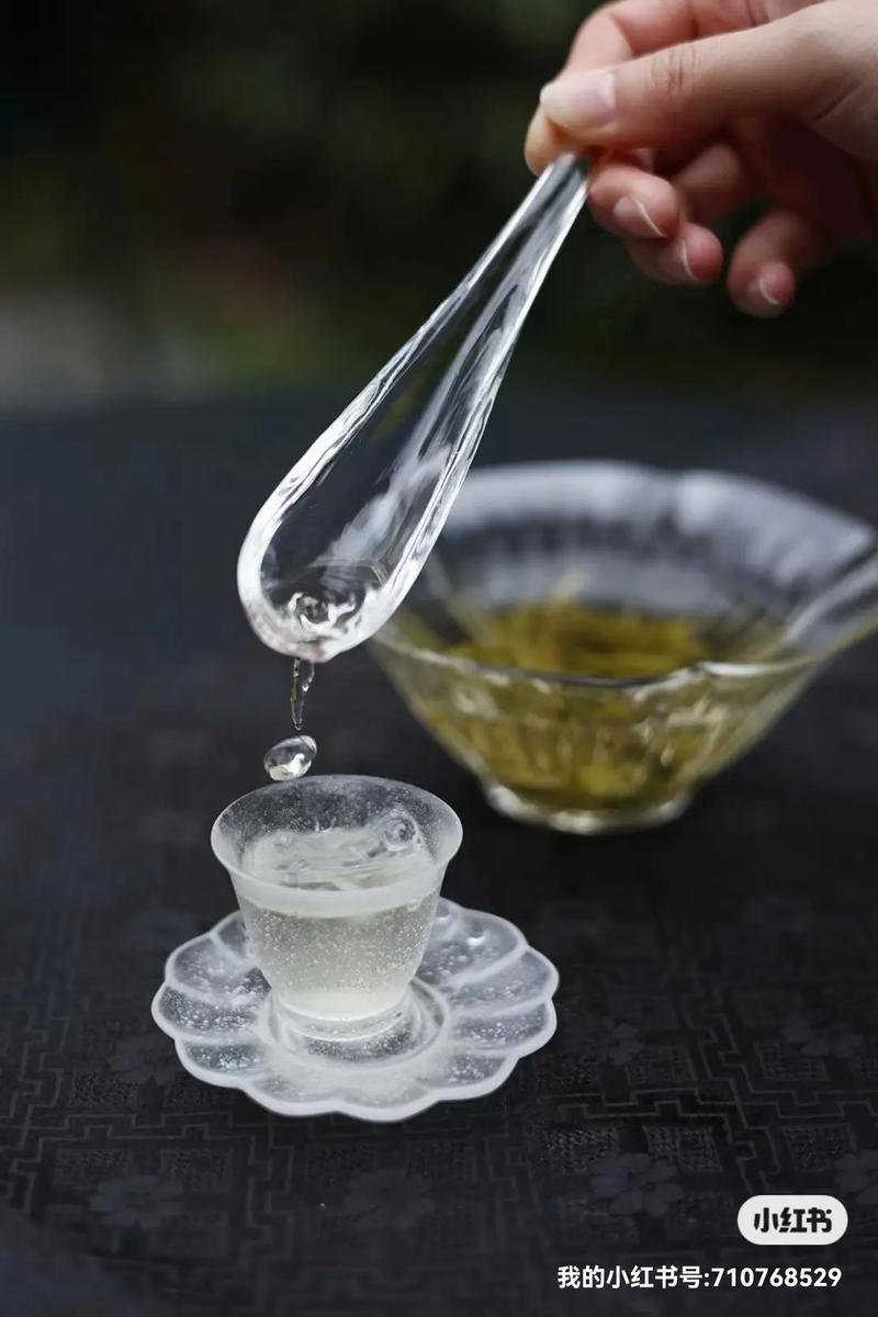 寻茶问道游