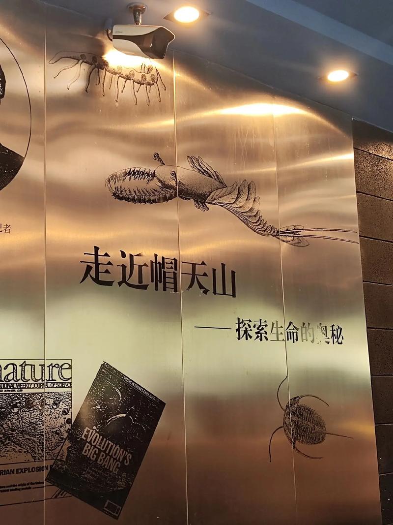 帽天山古生物化石群发现32周年纪念暨帽天山化石群入选世界自然遗产4周年纪念