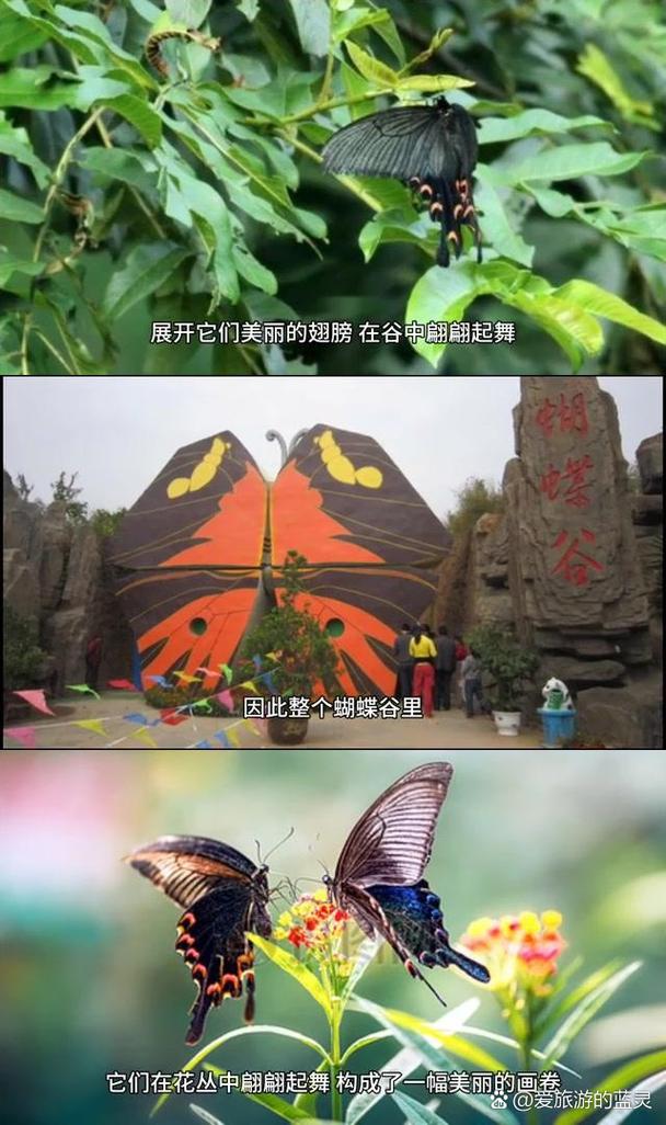 很多云南人都不知道的秘境——红河蝴蝶谷