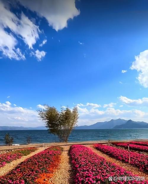 云南玉溪抚海湾湿地公园 抚仙湖畔的山水田园画卷