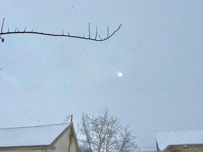 大雪过后的奇观——云云云云云南!