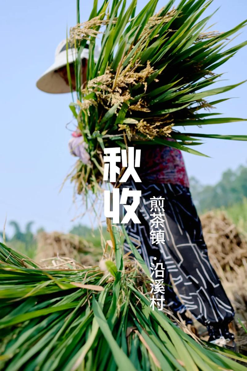 文山八宝 快乐秋收
