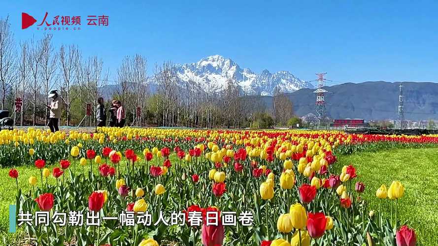 草甸花海、雪山峡谷……高铁视角带你看云南美景