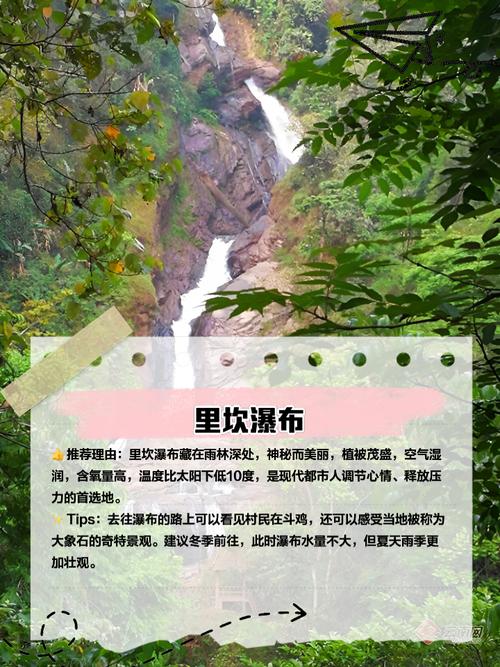 西盟县自驾游攻略