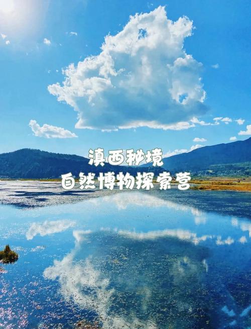 首届高黎贡山国际观鸟节在即，大家一起去观鸟！