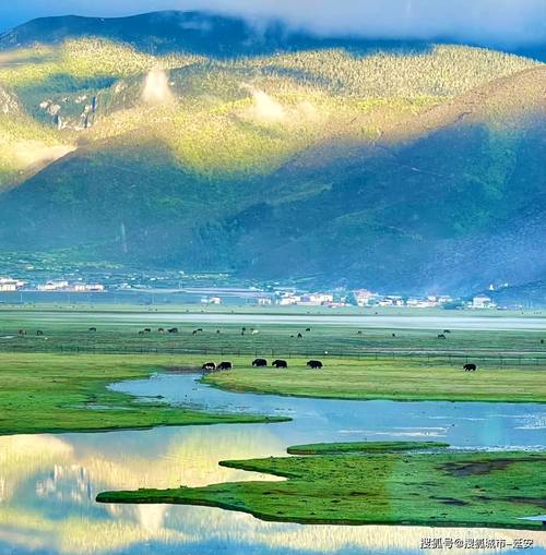 云南普达措：雪山碧水绘就高原生态画卷